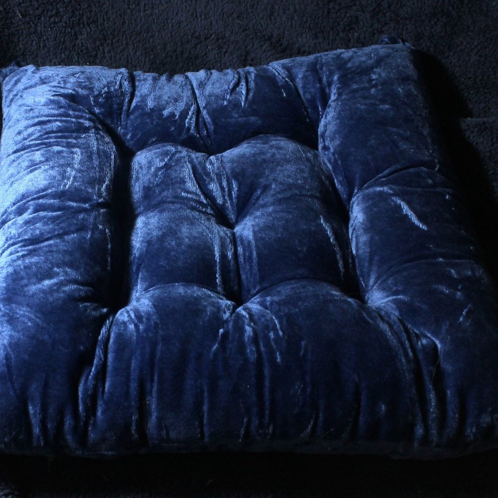4 Chair Cushions Blue